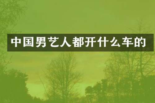 中国男艺人都开什么车的