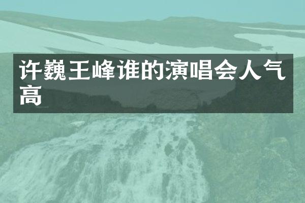 许巍王峰谁的演唱会人气高