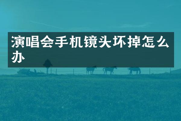 演唱会手机镜头坏掉怎么办