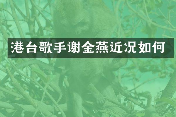 港台歌手谢金燕近况如何