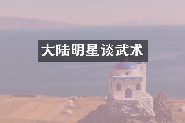大陆明星谈武术