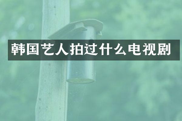 韩国艺人拍过什么电视剧