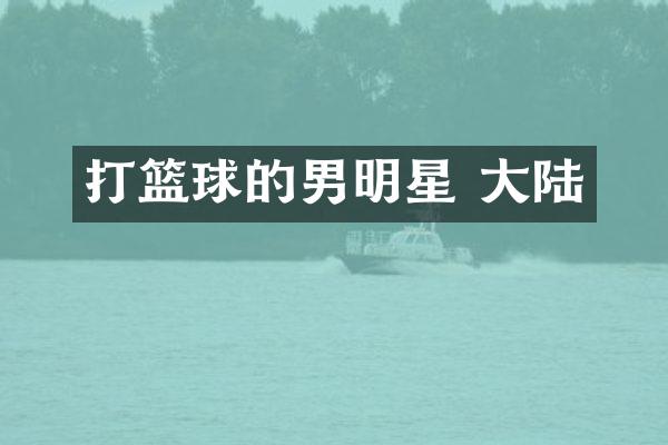 打篮球的男明星 大陆