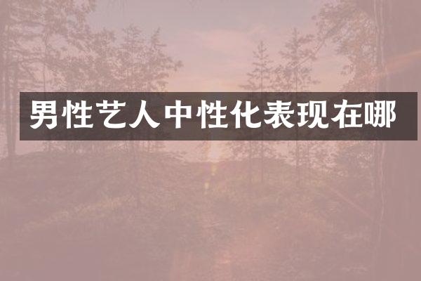 男性艺人中性化表现在哪