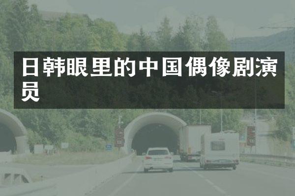 日韩眼里的中国偶像剧演员