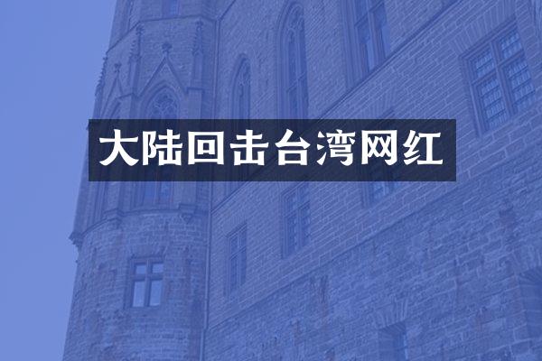 大陆回击台湾网红