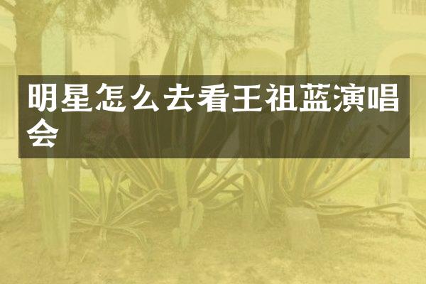 明星怎么去看王祖蓝演唱会