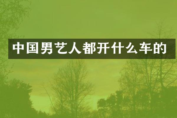 中国男艺人都开什么车的