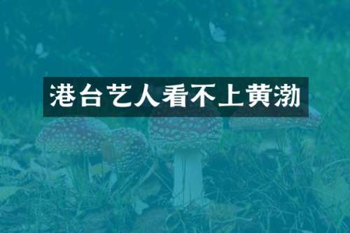 港台艺人看不上黄渤