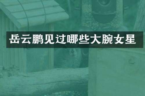岳云鹏见过哪些大腕女星