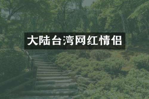 大陆台湾网红情侣