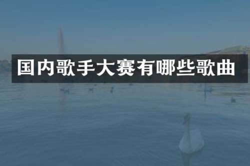 国内歌手大赛有哪些歌曲