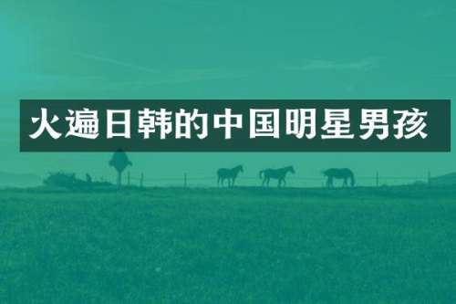 火遍日韩的中国明星男孩