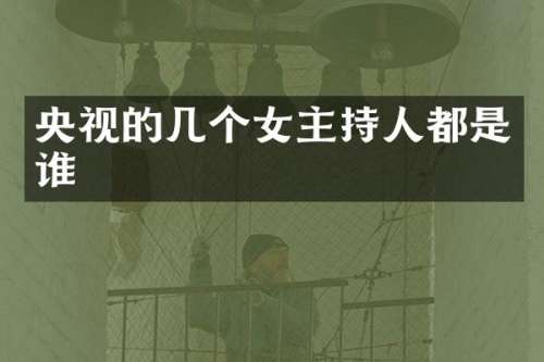 央视的几个女主持人都是谁