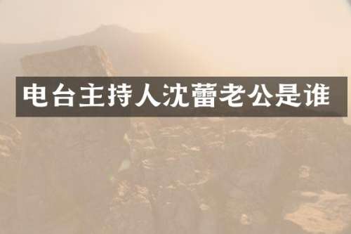 电台主持人沈蕾老公是谁