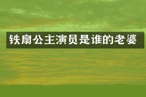 铁扇公主演员是谁的老婆