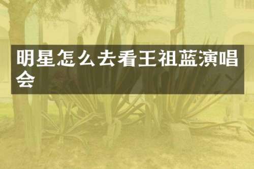明星怎么去看王祖蓝演唱会