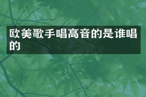 欧美歌手唱高音的是谁唱的