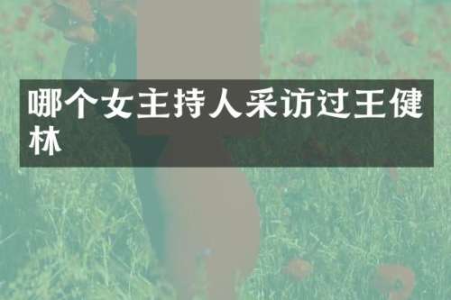 哪个女主持人采访过王健林