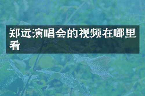 郑远演唱会的视频在哪里看