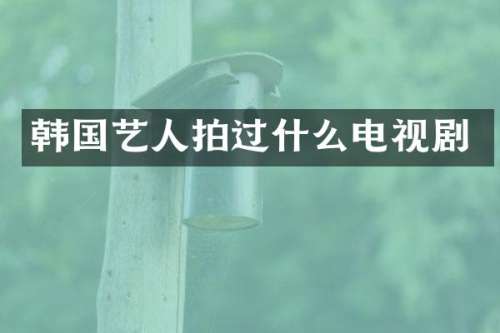 韩国艺人拍过什么电视剧