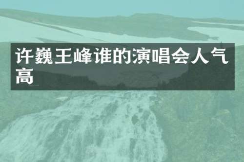 许巍王峰谁的演唱会人气高