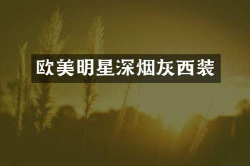 欧美明星深烟灰西装