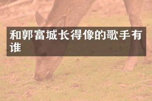 和郭富城长得像的歌手有谁