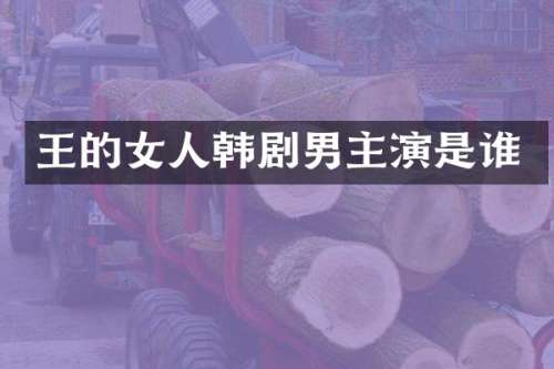 王的女人韩剧男主演是谁