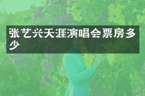 张艺兴天涯演唱会票房多少