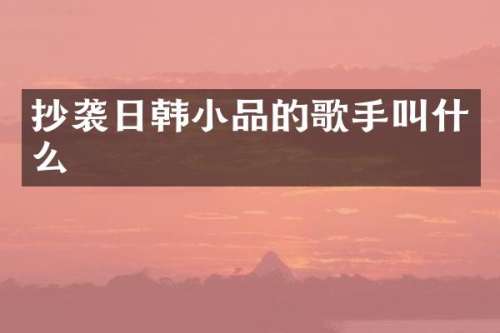 抄袭日韩小品的歌手叫什么