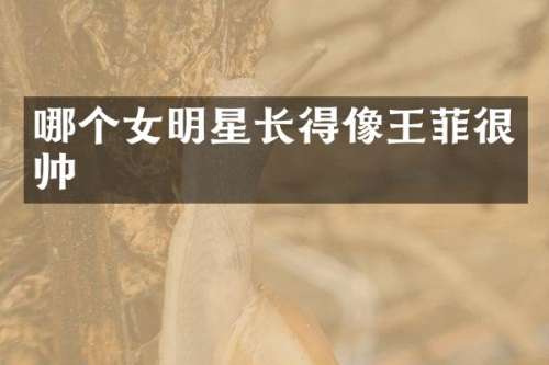 哪个女明星长得像王菲很帅