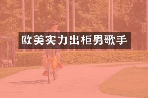 欧美实力出柜男歌手