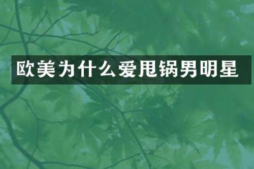 欧美为什么爱甩锅男明星
