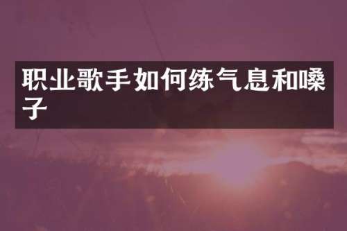 职业歌手如何练气息和嗓子