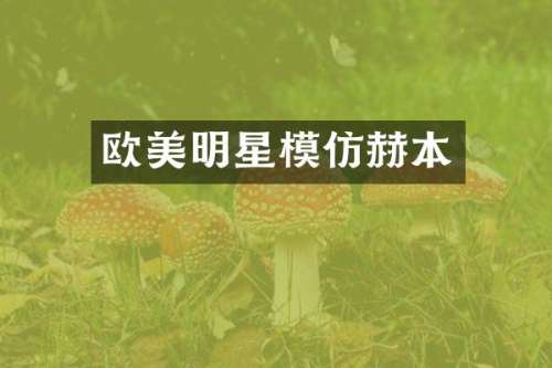 欧美明星模仿赫本