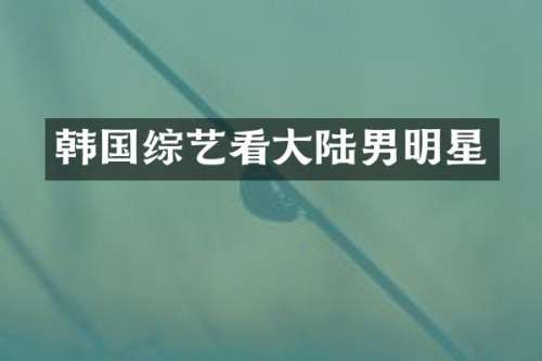 韩国综艺看大陆男明星