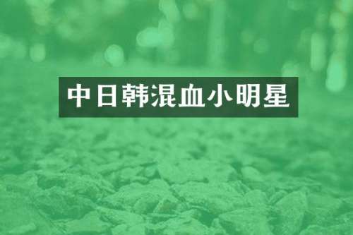 中日韩混血小明星