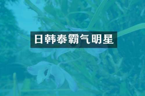 日韩泰霸气明星
