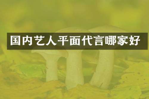 国内艺人平面代言哪家好