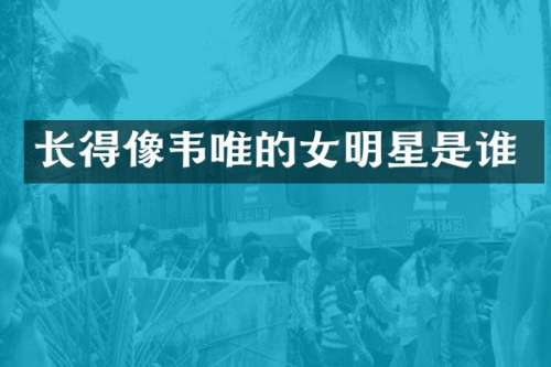 长得像韦唯的女明星是谁