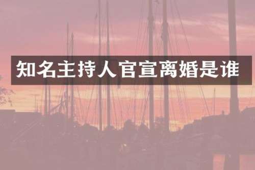 知名主持人官宣离婚是谁