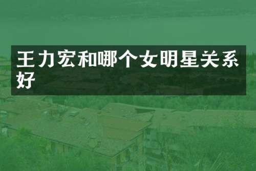 王力宏和哪个女明星关系好