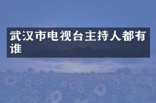 武汉市电视台主持人都有谁