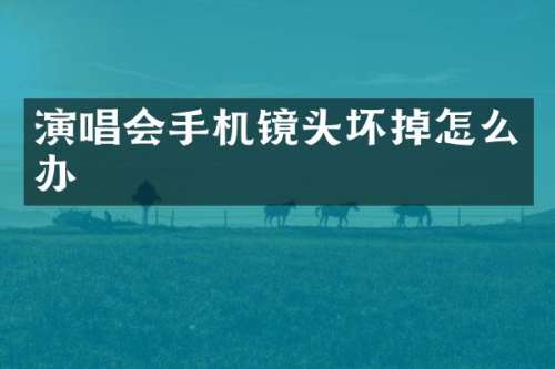 演唱会手机镜头坏掉怎么办