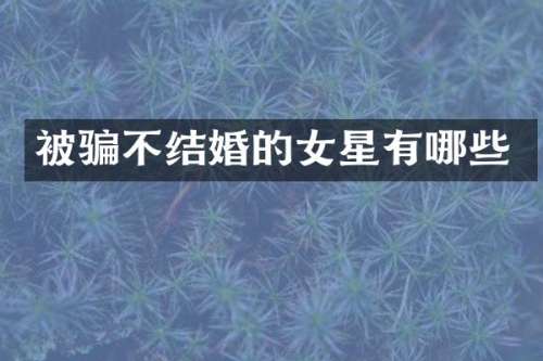 被骗不结婚的女星有哪些