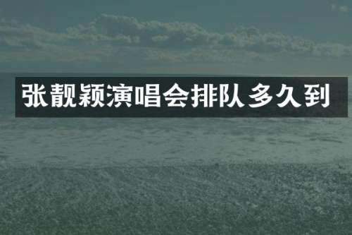 张靓颖演唱会排队多久到