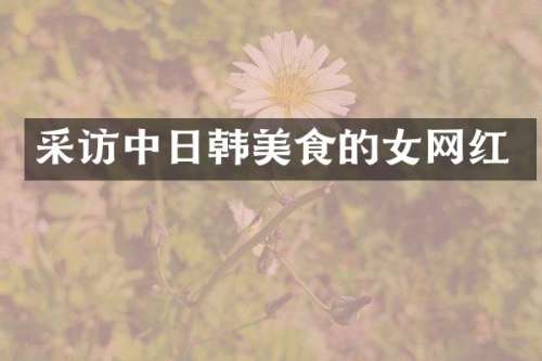 采访中日韩美食的女网红