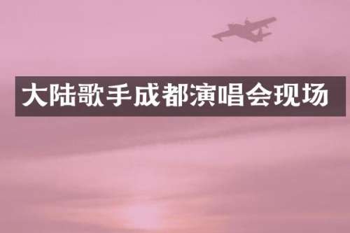 大陆歌手成都演唱会现场