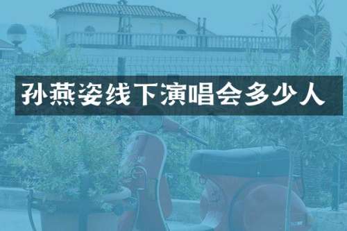 孙燕姿线下演唱会多少人
